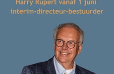 Afbeelding 1 van Harry Rupert interim-bestuurder