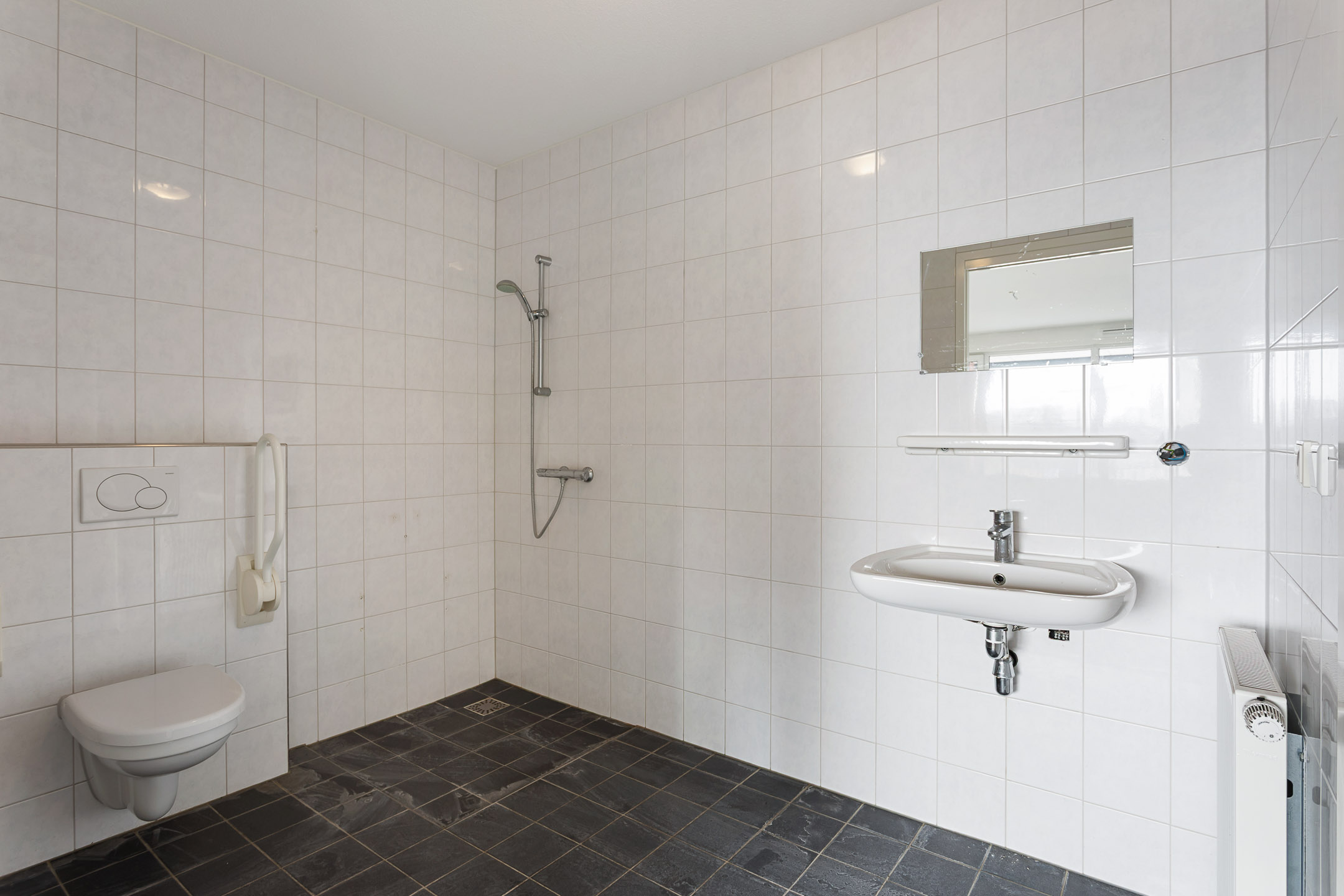 Toilet en doucheruimte